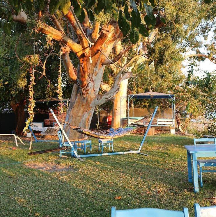 Okaliptus Butik Hotel Fethiye Bagian luar foto