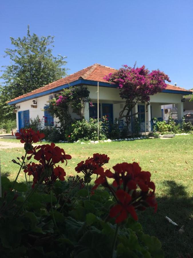 Okaliptus Butik Hotel Fethiye Bagian luar foto